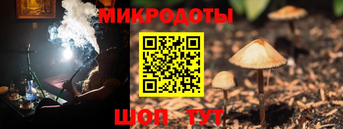 Псилоцибиновые грибы Cubensis Ярославль