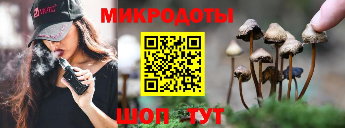 Галлюциногенные грибы мицелий  Ярославль 